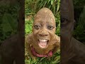 #comedy #versatileliving