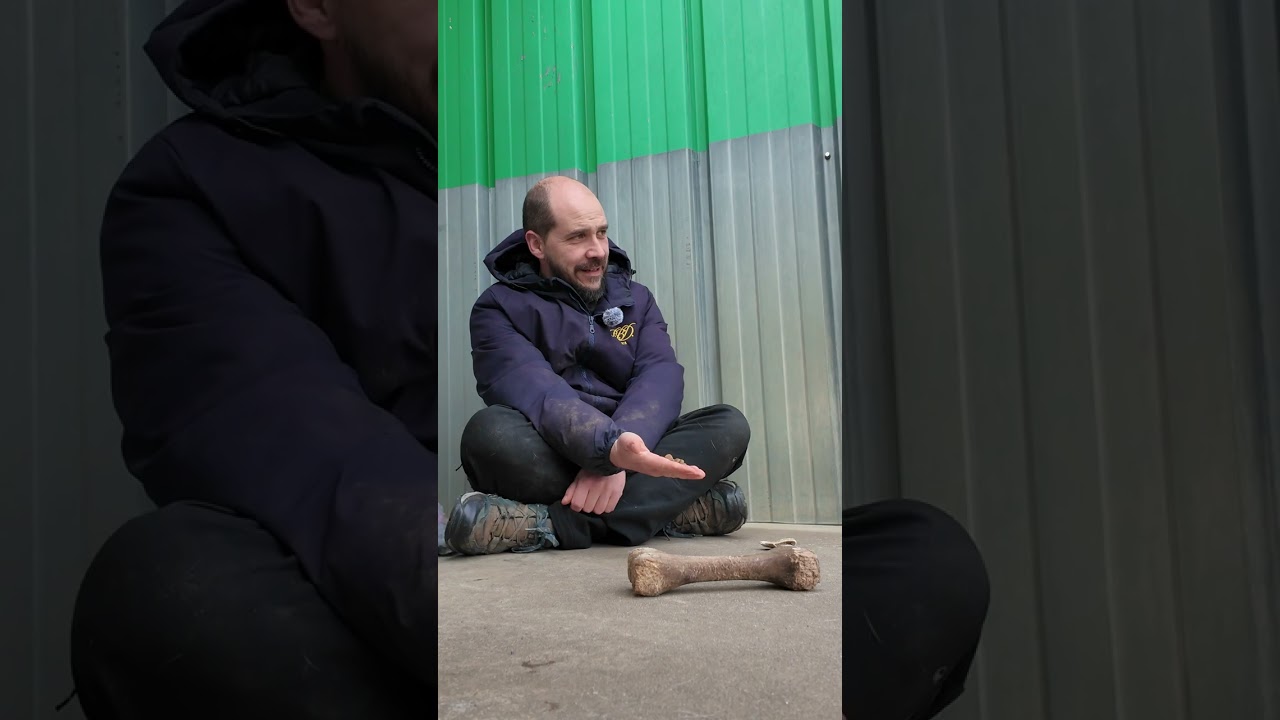 Premiers contacts avec un chien peureux