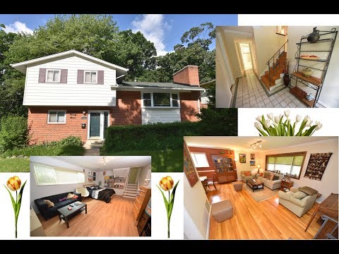 1727 Evelyn Dr, Rockville, MD home video tour