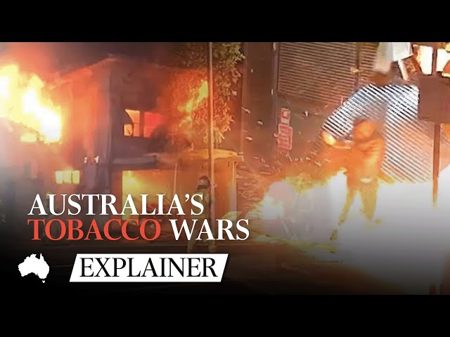tobacco wars The Remarkable Story Of The