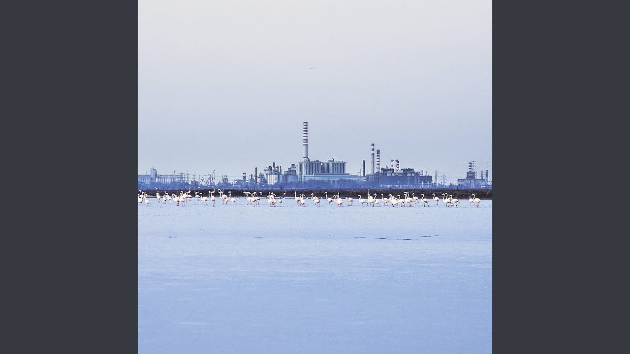 Rules adlı videoyu YouTube'da izle Rules adlı videoyu YouTube'da izle