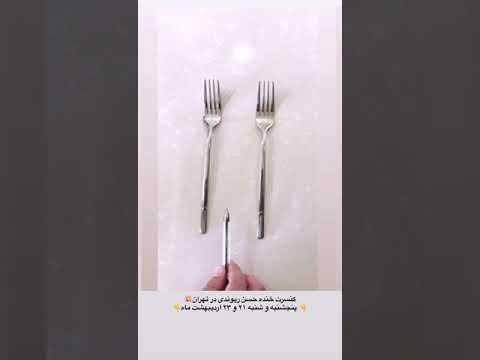 نقاش چیره دست