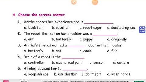Class IV/ English /Term 1 /Robot expo /evaluation