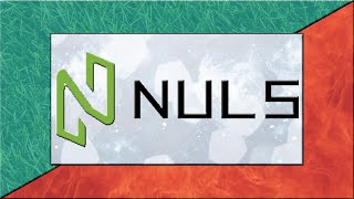 What is NULS NULS - Explained