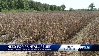 'This could be the year where things really take a hit:' What Iowa needs to end the drought