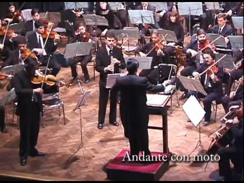 Max Bruch - Double Concerto for Clarinet, Viola & ...