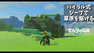 ハイラル式ジープで草原を駆ける　【ゼルダの伝説　ティアーズオブザキングダム】 screenshot 5