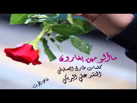 ماألومهن يغارون طارق الصليلي اداء علي البريكي