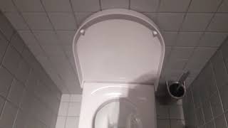 Big Burp In My Company Toilet And Puking After Big Burp In My Company Toilet And Puking After