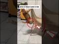 picture of things vs power of time #shortsviral #shorts #facts