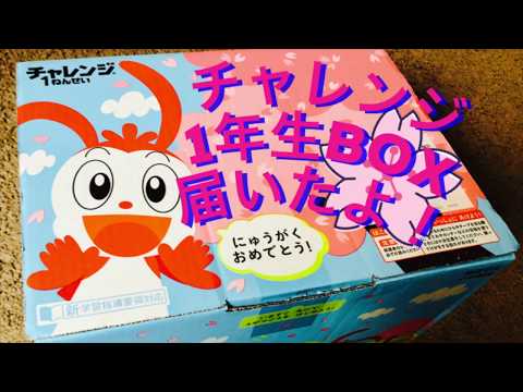 祝1年生 チャレンジ1年生ボックス開封 海外生活 