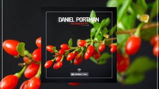 Miniatura de vídeo de "Daniel Portman - Inappropriate Melodies"