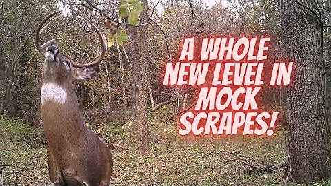 Active branch holder | Take mock scrapes to a whole new level