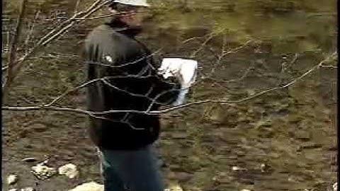 What kind of work do Environmental Engineers do?