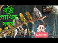 বদ্রি পাখির ফার্ম  | Badri Bird Farm  | बद्री पक्षी फार्म  | பத்ரி பறவை பண்ணை