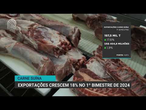 Carne suína | Exportações crescem 18% no 1º bimestre de 2024 | Canal Rural