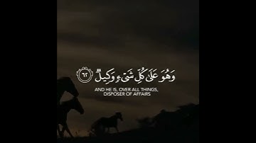 سورة الزمر | القارئ عمر الدريويز