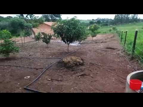 Chácara à venda em BELA VISTA DE GOIÁS-GO  - CredRural Imóveis - Vídeo 1