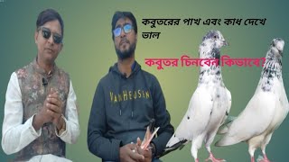 পাখ দেখে ভাল কবুতর চেনার সহজ উপায় শুনুন,ওস্তাদ নাজমুস সাদাত সুমন ভাইয়ের কাছ থেকে?High Flyer pigeon.