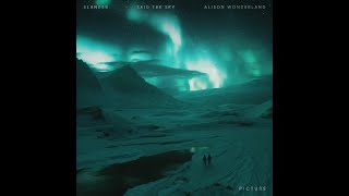 SLANDER & Said The Sky - Picture (Feat. Alison Wonderland) (Video Release)