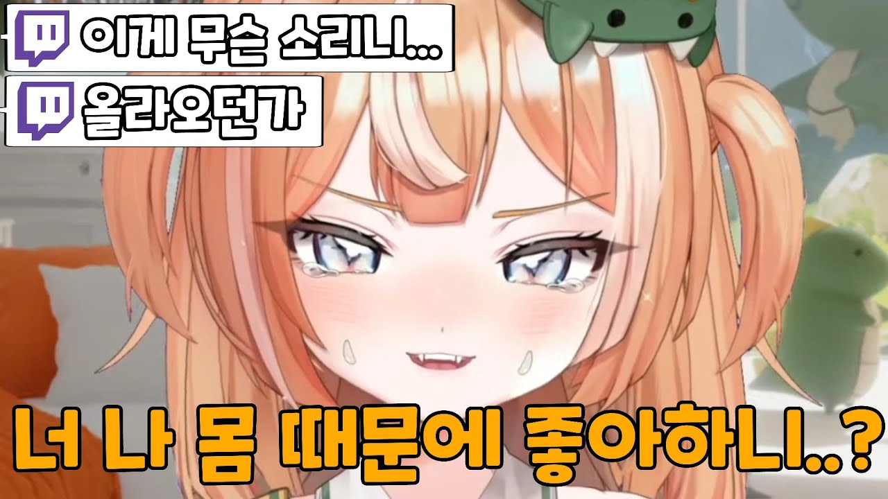 디용디용아 이게 무슨 소리니......