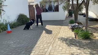 5 Part Chaining Exercise- 2