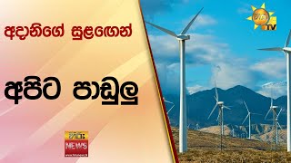 අදානිගේ සුළඟෙන් අපිට පාඩුලු - Hiru News