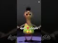 شكرا لكم 