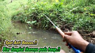 Spot dangkal anti boncos‼️biar keliatan ikannya pada haup@Gianmicro