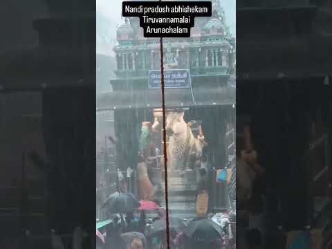 Abhishekam to Nandi at Tiruvannamalai on Pradosham