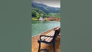 ارح سمعك..القارئ عبدالرحمن مسعد-حالات واتس اب