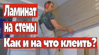 Ламинат на стены  Как и на что клеить ламинат. Ремонт квартир Омск