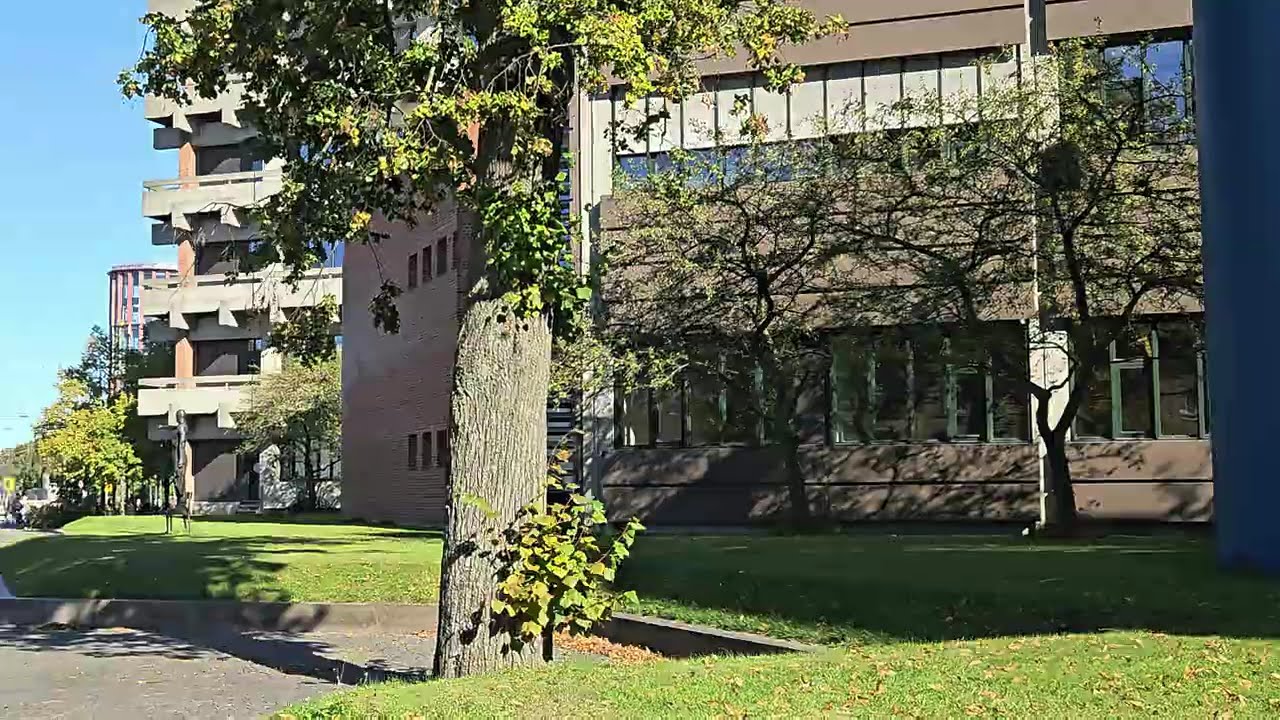 Few Glimpses from the beautiful University of Copenhagen, Denmark I Europe October 2024