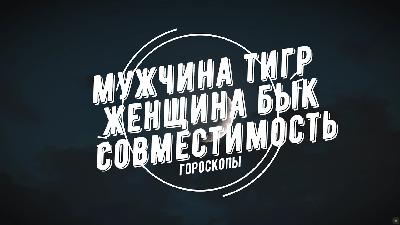 Совместимость мужчина Тигр и женщина Бык