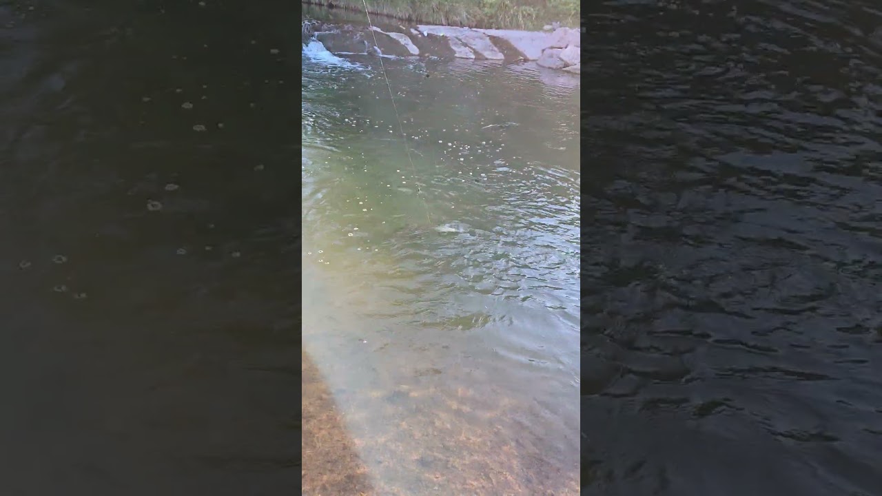 Downtown Colorado Springs 