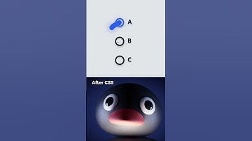 Before After CSS Radio🔘 #memes #coding #css