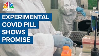 Experimental Covid-19 pill shows promise in preliminary testing