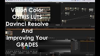 Osiris LUTS: Vison 6: Improve Your Color Grading Skills