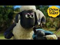 Shaun the sheep  sheep fight  cartoons for kids  full episodes compilation 1 hour