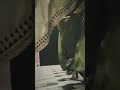 #trending #trendingvideo