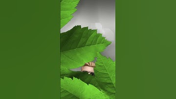 resultBuilder Swift #shorts