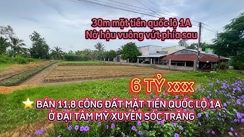⭐️ BÁN 11,8 CÔNG ĐẤT MẶT TIỀN QUỐC LỘ 1A Ở ĐẠI TÂM MỸ XUYÊN SÓC TRĂNG #bđs_đầu_tư