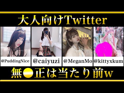 神すぎるTwitterの素人アカウントを紹介します【大人向けTwitter】