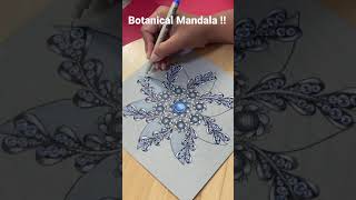 Information Botanical Mandala  #Shorts  MandalaNPA035 Guide