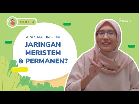 Video: Mengapa jaringan meristem memiliki nukleus yang menonjol?