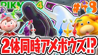 Can you defeat two Ameboz at the same time in the King's Hole