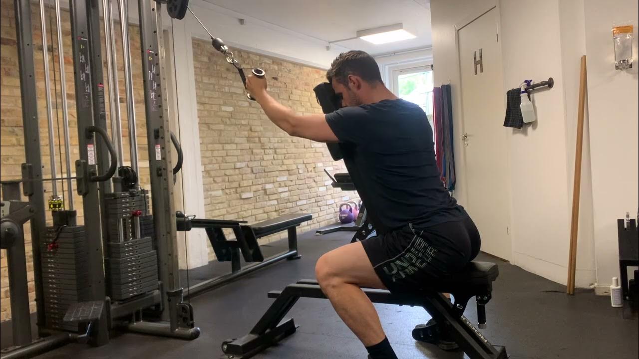 Single arm high cable row lower lat, bench supported YouTube