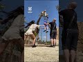 He was nearly in the cage with them 💀 (🎥: contentbible)