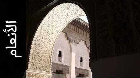 سورة الأنعام الزين محمد أحمد - Surah Al-An'aam Alzain Mohammad Ahmad