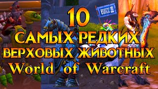 10 самых редких верховых животных World of Warcraft